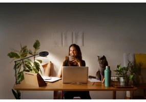 Ledvance - Lampada LED dimmerabile con clip SUN@HOME LED/15W/230V CRI 95 Wi-Fi