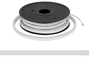 Neon Flex LED Serie 220V 9W/m IP67 10m Flessibile Colore Bianco Freddo 6.000K