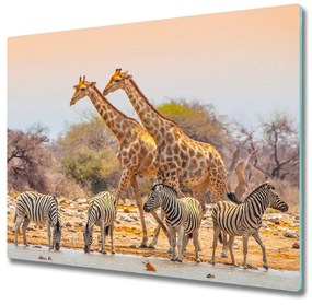 Tagliere in vetro Giraffe e zebra 60x52 cm