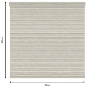 Tessuto per tende a rullo filtrante INSPIRE Darwin beige 177 x 250 cm