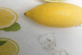 Stampa su tela – Mix di agrumi