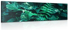 Quadro su tela – Foglie tropicali fresche