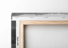 Quadro su tela – Cavallo nel prato in bianco e nero