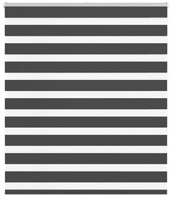 Tenda A Rullo Zebra Nero Larghezza Tessuto 130,9 Cm Poliestere /