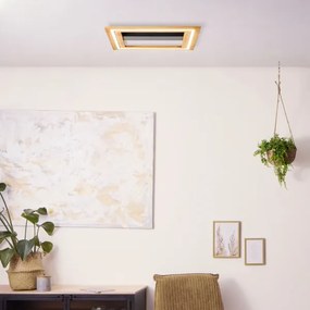 Brilliant-Plafoniera LED dimmerabile RHEA LED/24W/230V