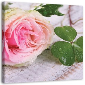 Quadro su tela, Rosa fiore rosa natura