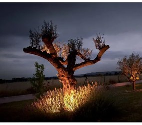 Lampada LED da esterno EASY CONNECT 1xGU10/10W/230V IP67 cromo opaco