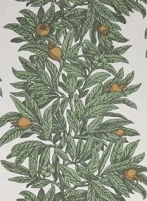 Tapete Medlar von Osborne & Little - Sage/ Amber