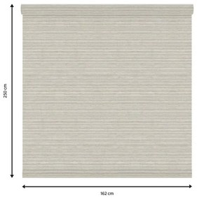 Tessuto per tende a rullo filtrante INSPIRE Darwin beige 162 x 250 cm