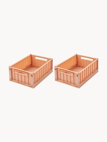 Set di 2 scatole portaoggetti Weston