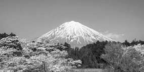 Stampa su tela – Monte Fuji in bianco e nero