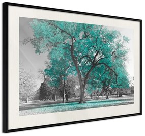 Poster  Teal Tree  Cornice Quadri Cornice nera con pass-partout, Larghezza x Altezza Home decor 90x60