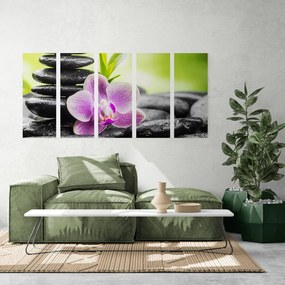 Quadri 5 pezzi – Composizione Zen tropicale