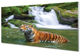 Quadro in vetro Cascata della tigre 100x50 cm