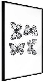 Poster  Butterfly Collection III  Cornice Quadri Cornice nera, Larghezza x Altezza Home decor 40x60