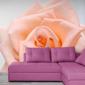 Carta da parati – Rosa in tonalità pesca