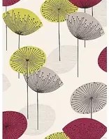 Tapete Dandelion Clocks von Sanderson - Schwarze Johannisbee
