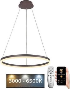 Brilagi - Lampadario LED dimmerabile a sospensione con cavo CIRCLE LED/42W/230V 3000-6500K marrone + telecomando
