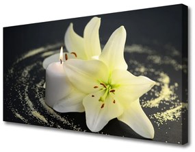 Quadro su tela Fiore, pianta, natura 100x50 cm