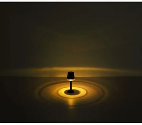 Globo 36632 - Lampada LED solare SOLAR LED/0,5W/3,2V 3000K IP44 nero