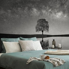 Fotomurale – Cielo stellato in bianco e nero sopra l'albero solitario