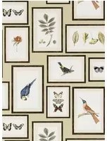 Sanderson Carta da parati Picture Gallery - Sand/ Multi