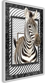 Poster Zebra in the Frame