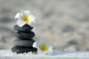 Carta da parati autoadesiva – Pietre armoniche e plumeria