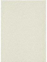 Paint & Paper Library Carta da parati Seedpod - Wattle