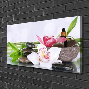 Quadro su tela Fiori di orchidea bambù 100x50 cm