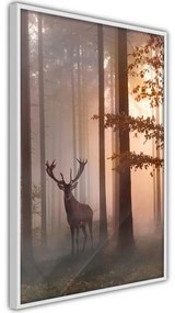 Poster Forest Seclusion
