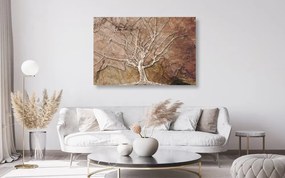 Quadro su tela – Corona dell'albero con tocco astratto