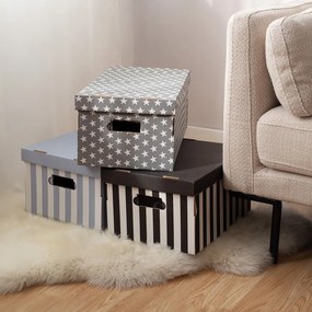 Scatole di cartone con coperchio in set da 2 pezzi Stripes - Compactor