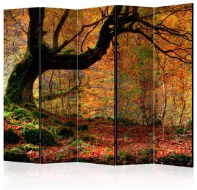 Paravento Autumn, forest and leaves II [Room Dividers]