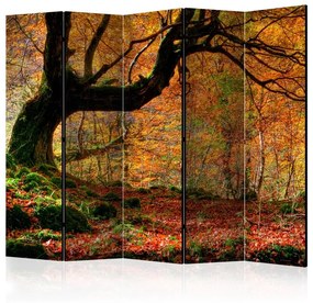 Paravento  Autumn, forest and leaves II [Room Dividers]  Colore ---, Dimensioni e Misure 225x172