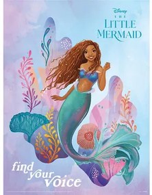 The Little Mermaid  Poster PM6506  The Little Mermaid