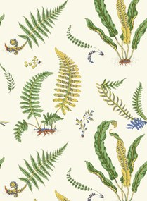 GP & J Baker Carta da parati Ferns - Emerald