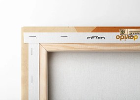 Stampa su tela – Cerchi e linee Peach Fuzz