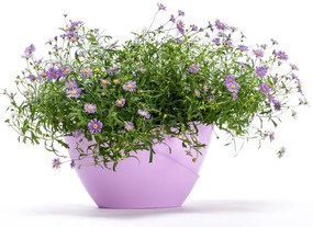 Vaso in plastica autoinnaffiante Doppio - Plastia