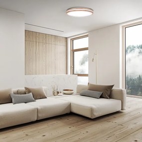 Solight WO8007 - Lampada LED dimmerabile WOODY LED/48W/230V 3000-6500K Ø 38 cm +