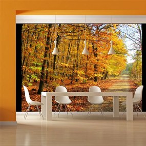 Fotomurale  Beech forest  Colore Verde, Dimensioni e Misure 250x193