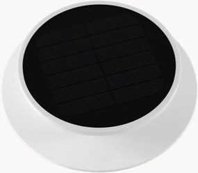 Faretto solare a LED Solia Spike