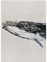 Coordonne Carta da parati panoramica Humpback Whale - Grey