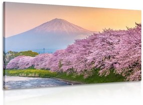 Stampa su tela – Vulcano Fuji del Giappone