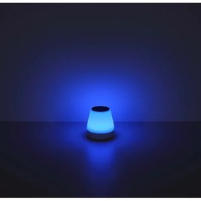 Globo 39906-18 - Lampada solare LED RGB LED/0,2W/3,7V IP44