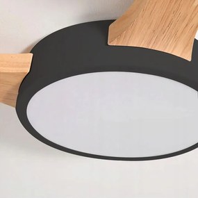 LAMPADA DA SOFFITTO BLACK NERA APP526-5C