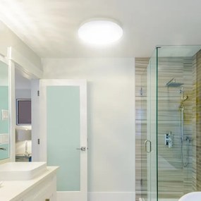 Rabalux 3437 - Plafoniera LED da bagno LUCAS LED/12W/230V