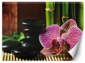 Carta Da Parati, Orchidea pietre zen e bambù