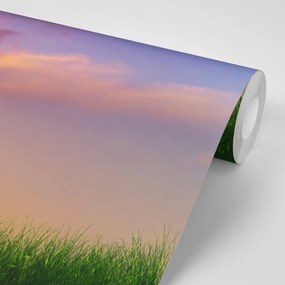 Carta da parati – Tramonto sul prato