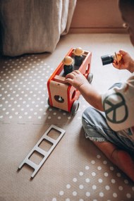 Bolid - Camion Dei Pompieri